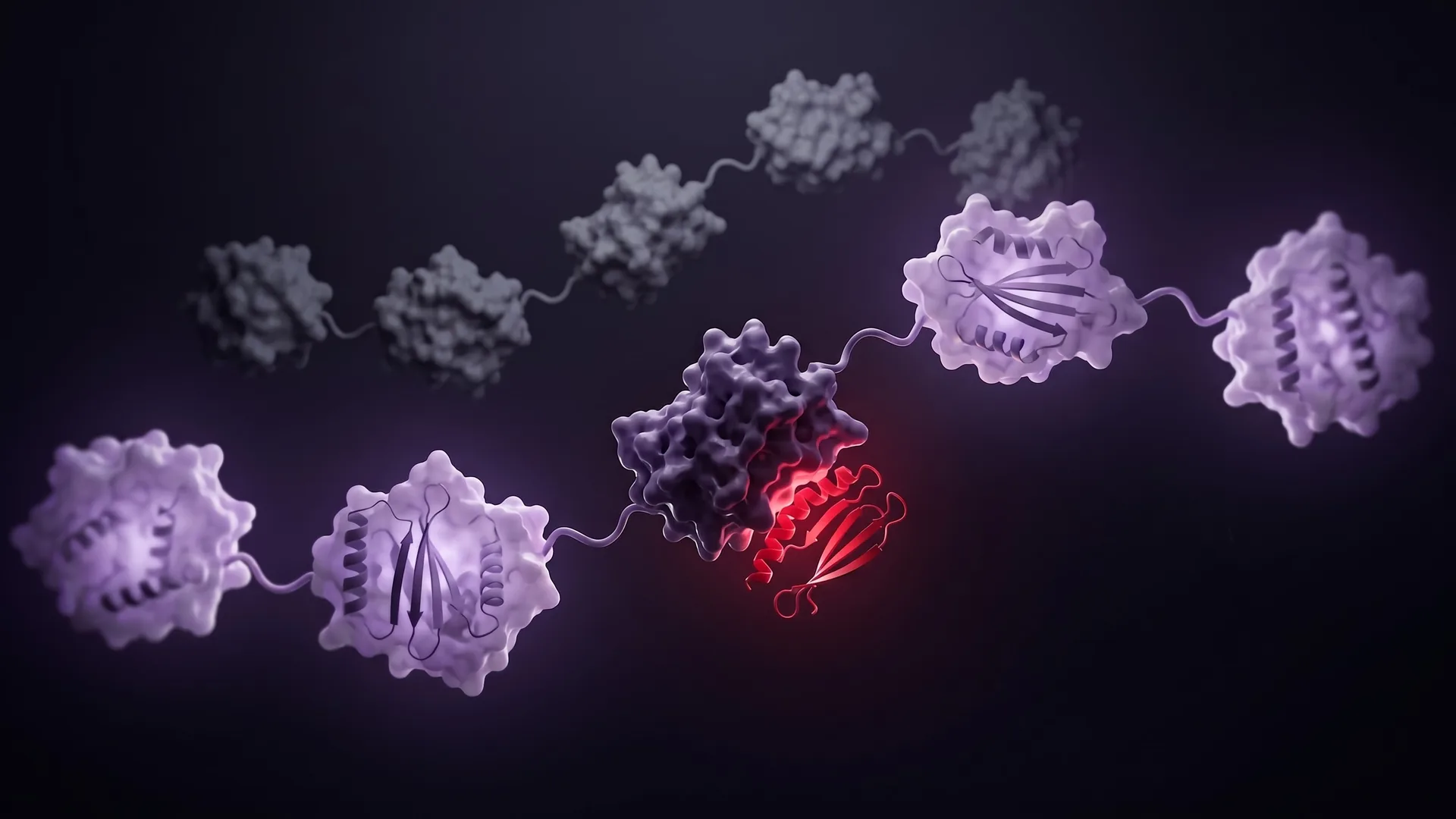 A protein with five domains strung along a flexible linker, with a red binder docked on one domain while the other four stay intact. Behind it, a lifeless gray copy of the chain shows a knockout removing all five.