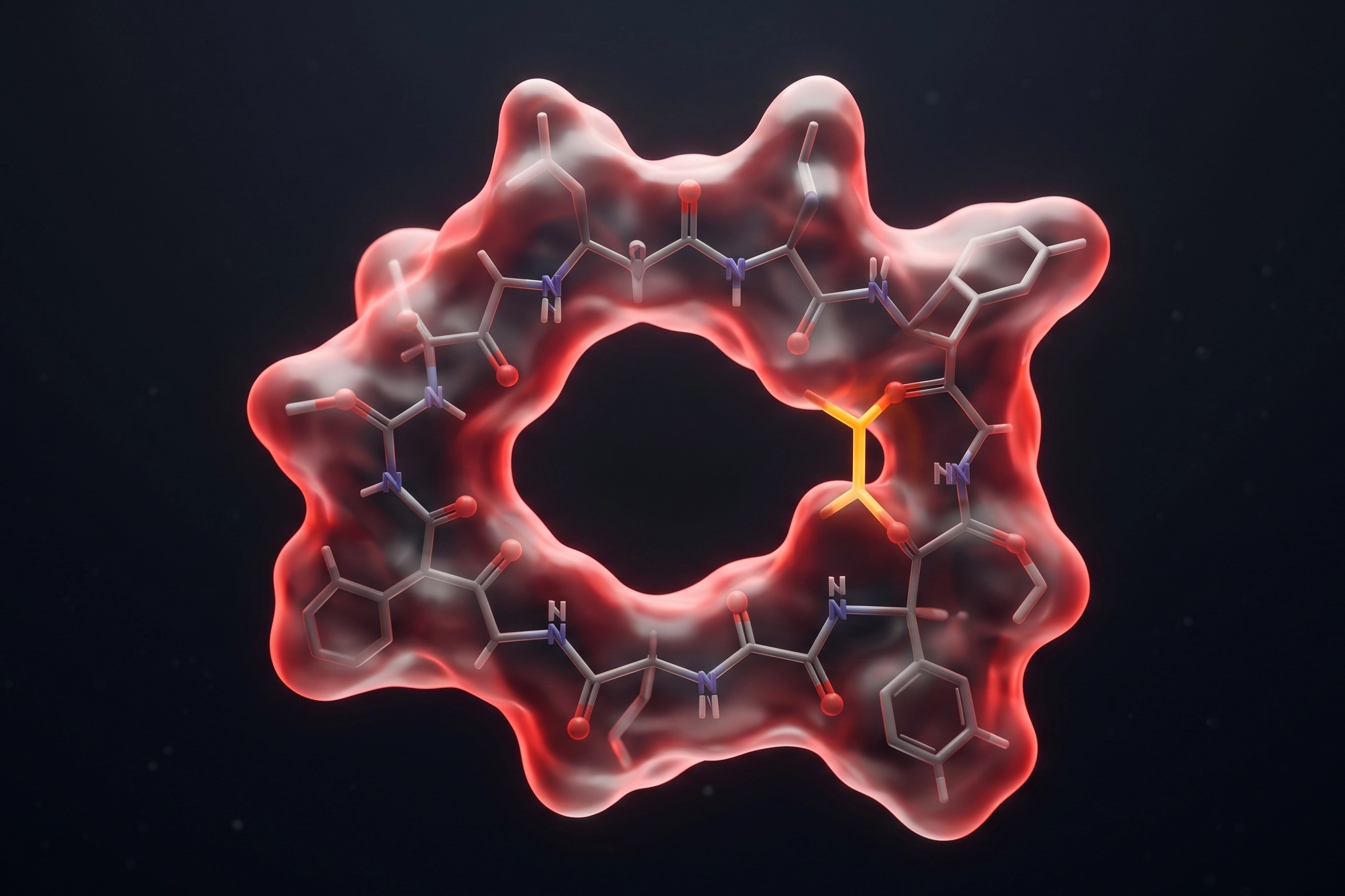 Cyclic Peptides
